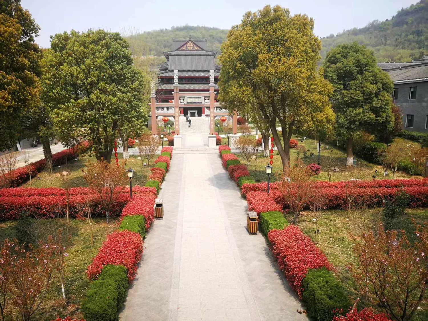 A tree-lined path leading to a temple entrance
